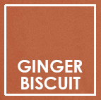 Ginger Biscuit